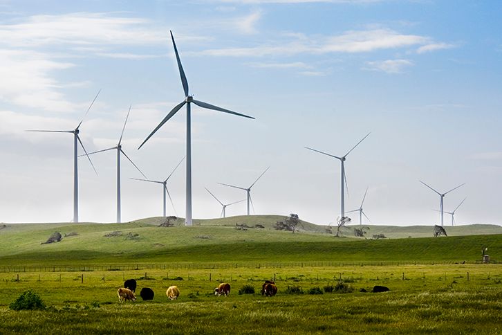 Iberdrola acquires giant Australian hydrogen project