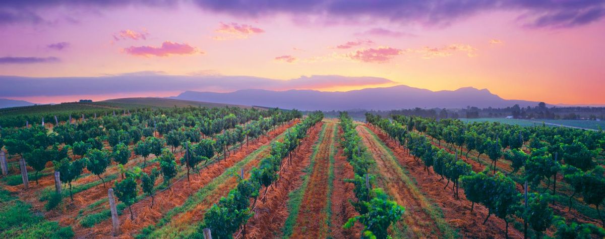 Eurus Energy looks to Hunter Valley hydrogen in Australia