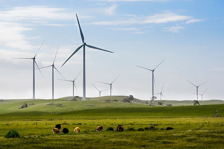 Iberdrola acquires giant Australian hydrogen project